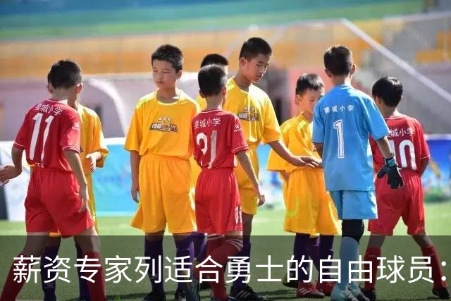 薪资专家列适合勇士的自由球员：詹姆斯 伊森 肯纳德 罗威领衔